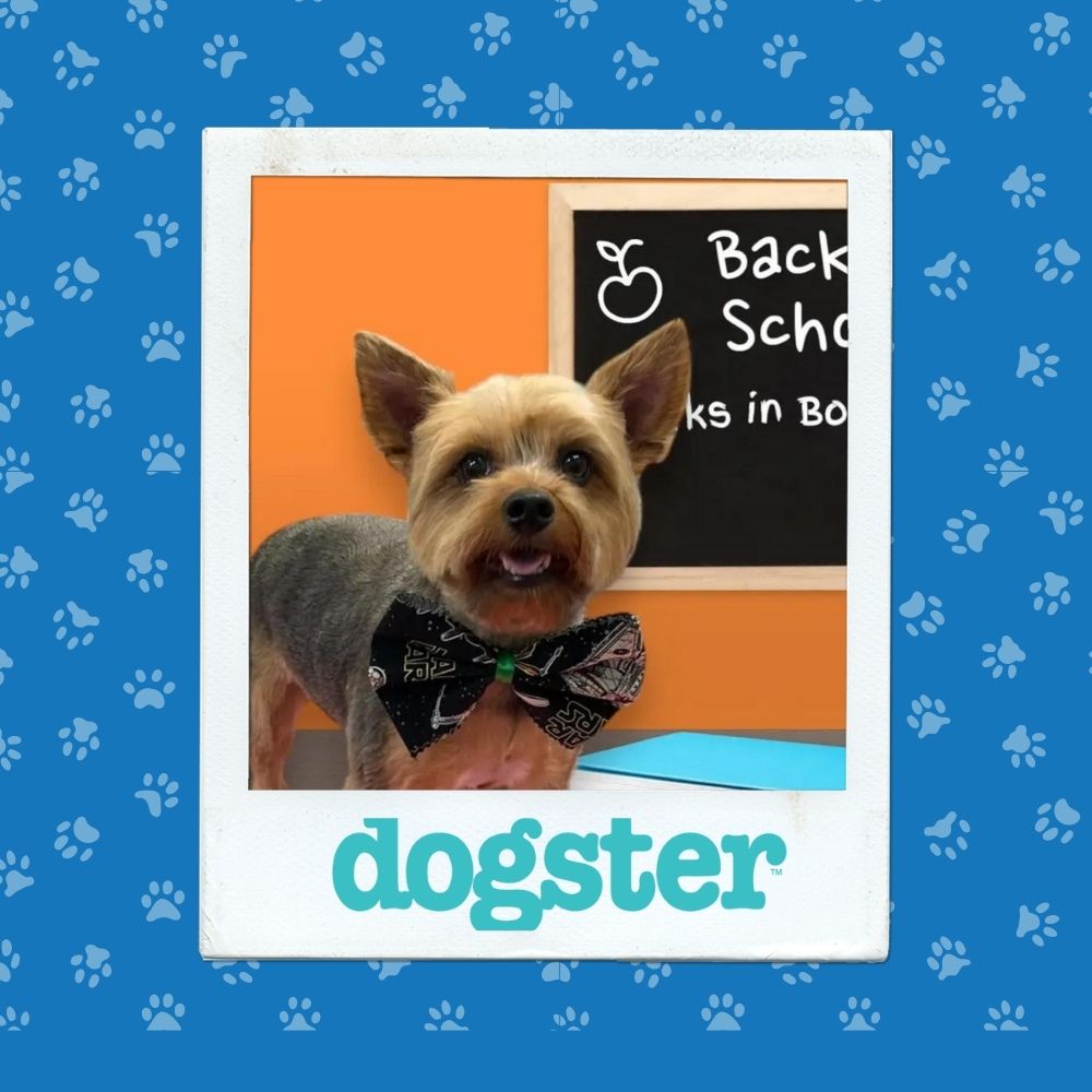 November 13th Winner (4)