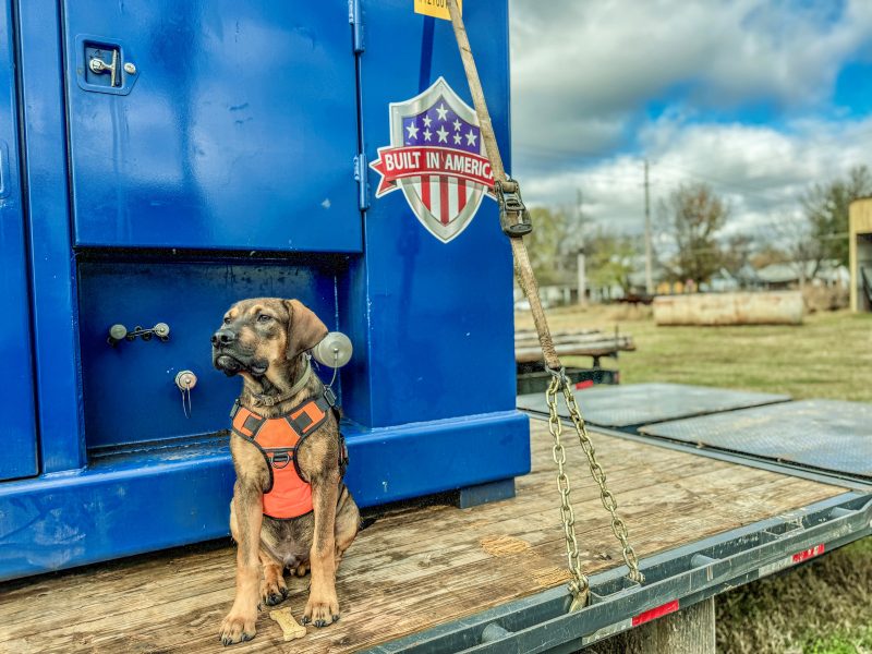 Barking News - Plugger on Site - Lead Image