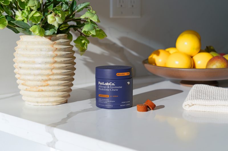 Petlab SP 3 Dec 30 - image one