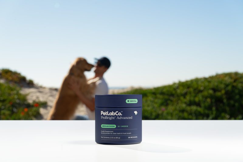 Petlab SP 4 Dec 30 - image one