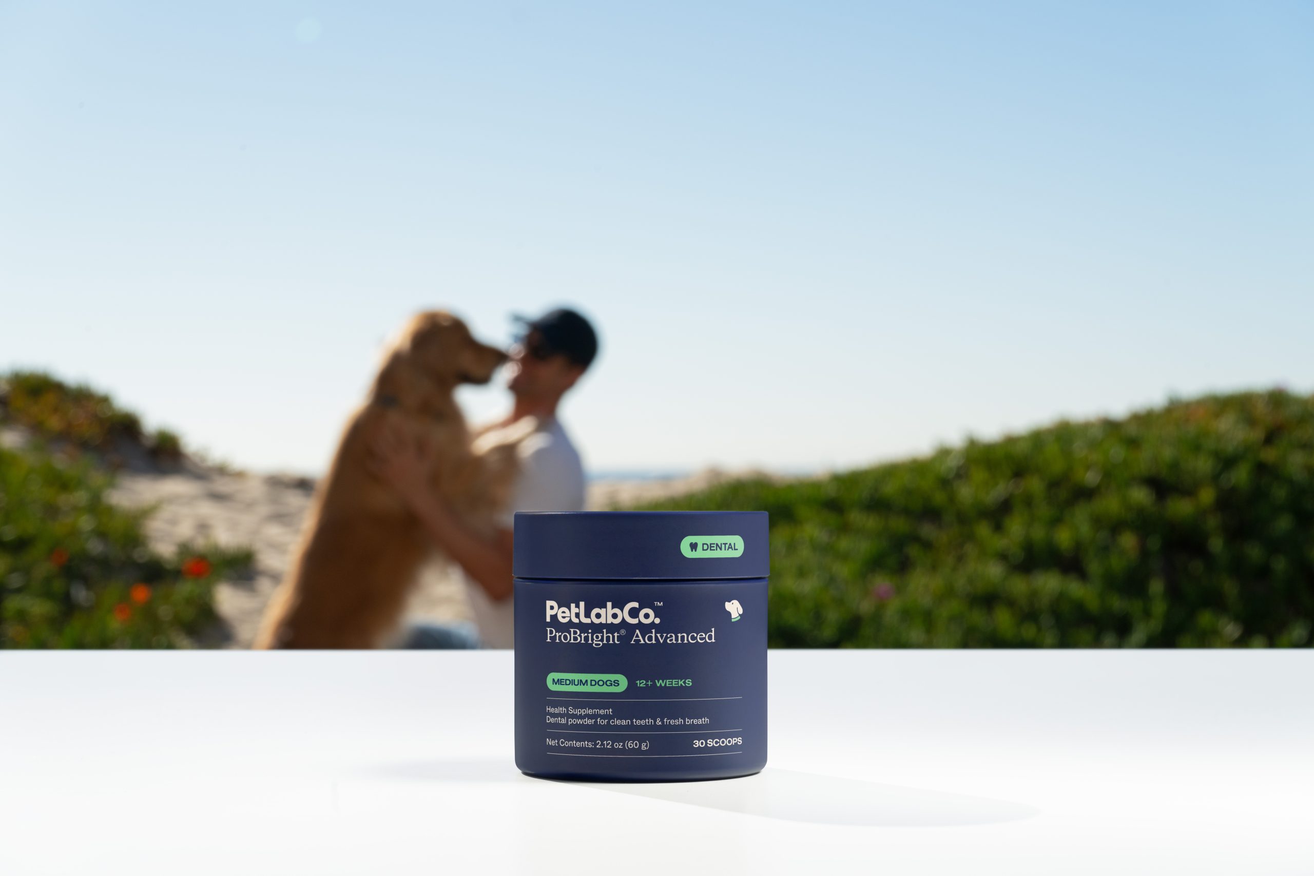 Petlab SP 4 Dec 30 - image one