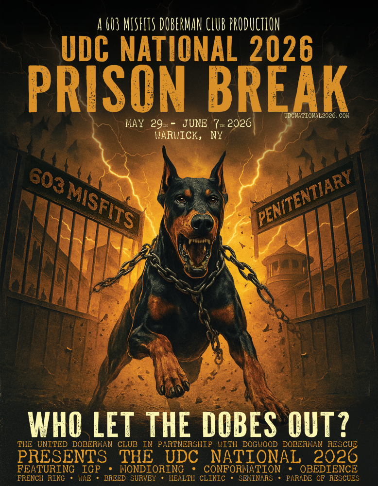 United Doberman Club - National Flyer