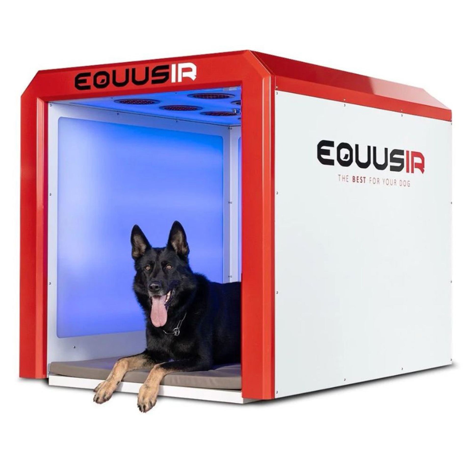 BEST-BOX_ Too Good To Be True or Total Game-Changer_ -BEST-BOX-6