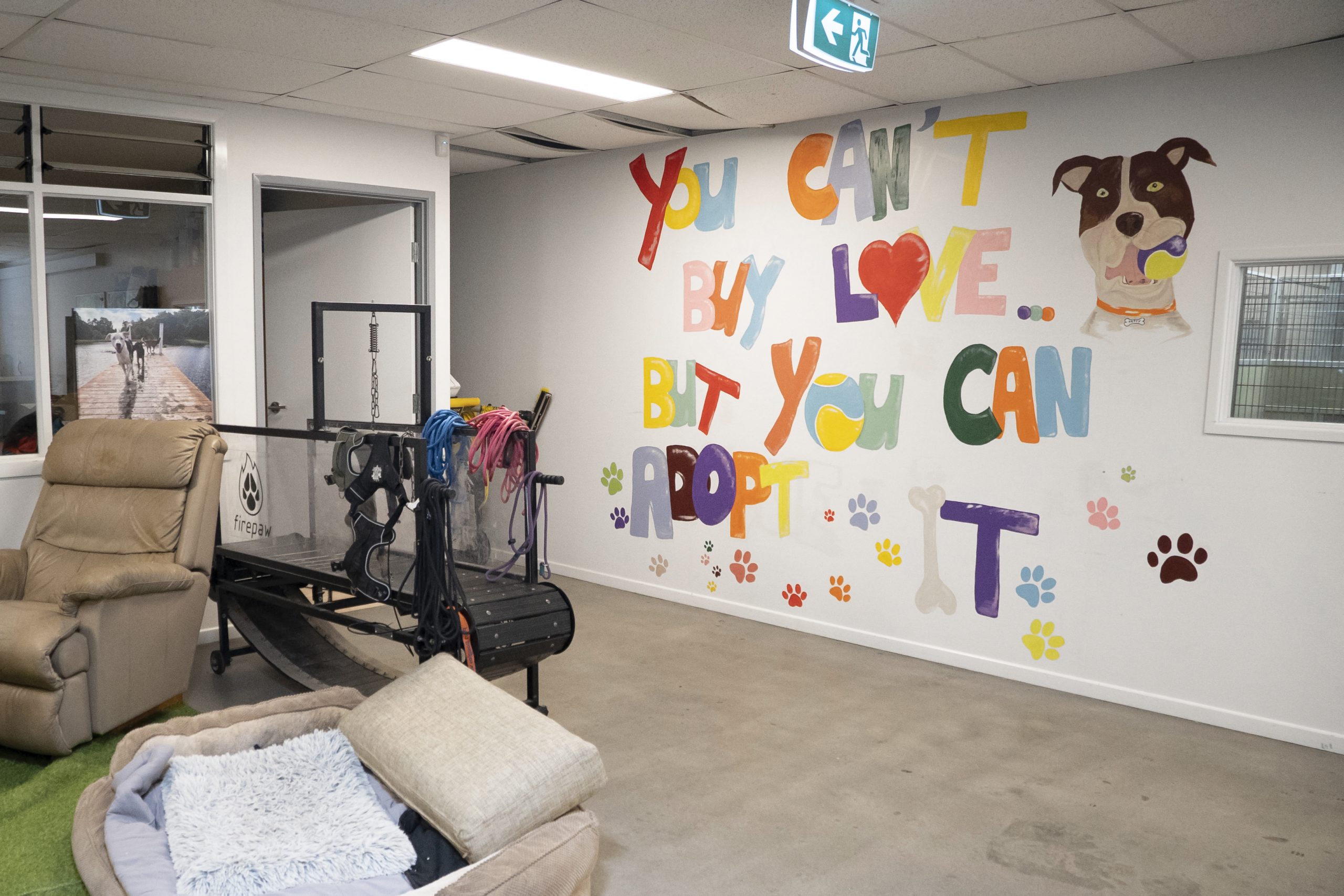 North Queensland Cats and Dogs Shelter Takes a Pragmatic Approach to Give Neglected Animals a Second Chance - 3