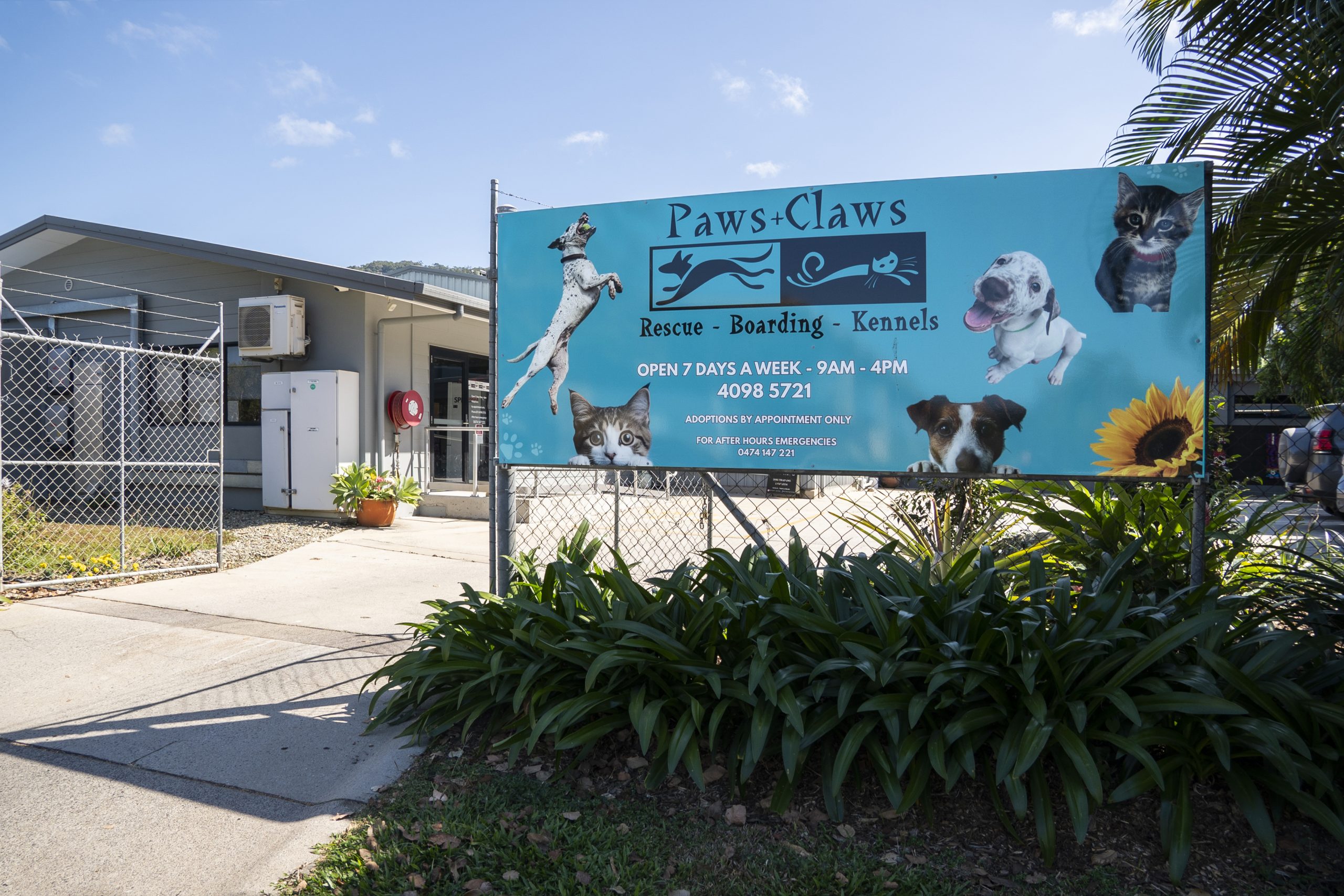 North Queensland Cats and Dogs Shelter Takes a Pragmatic Approach to Give Neglected Animals a Second Chance - 5