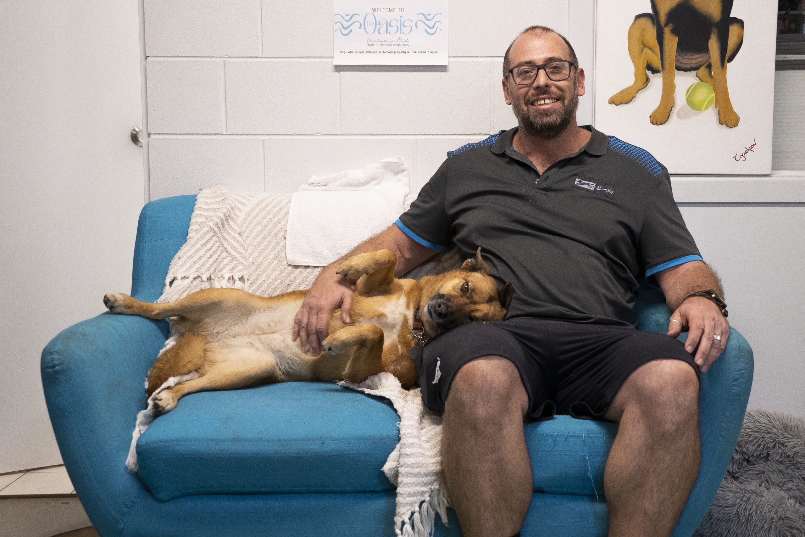 North Queensland Cats and Dogs Shelter Takes a Pragmatic Approach to Give Neglected Animals a Second Chance - 7