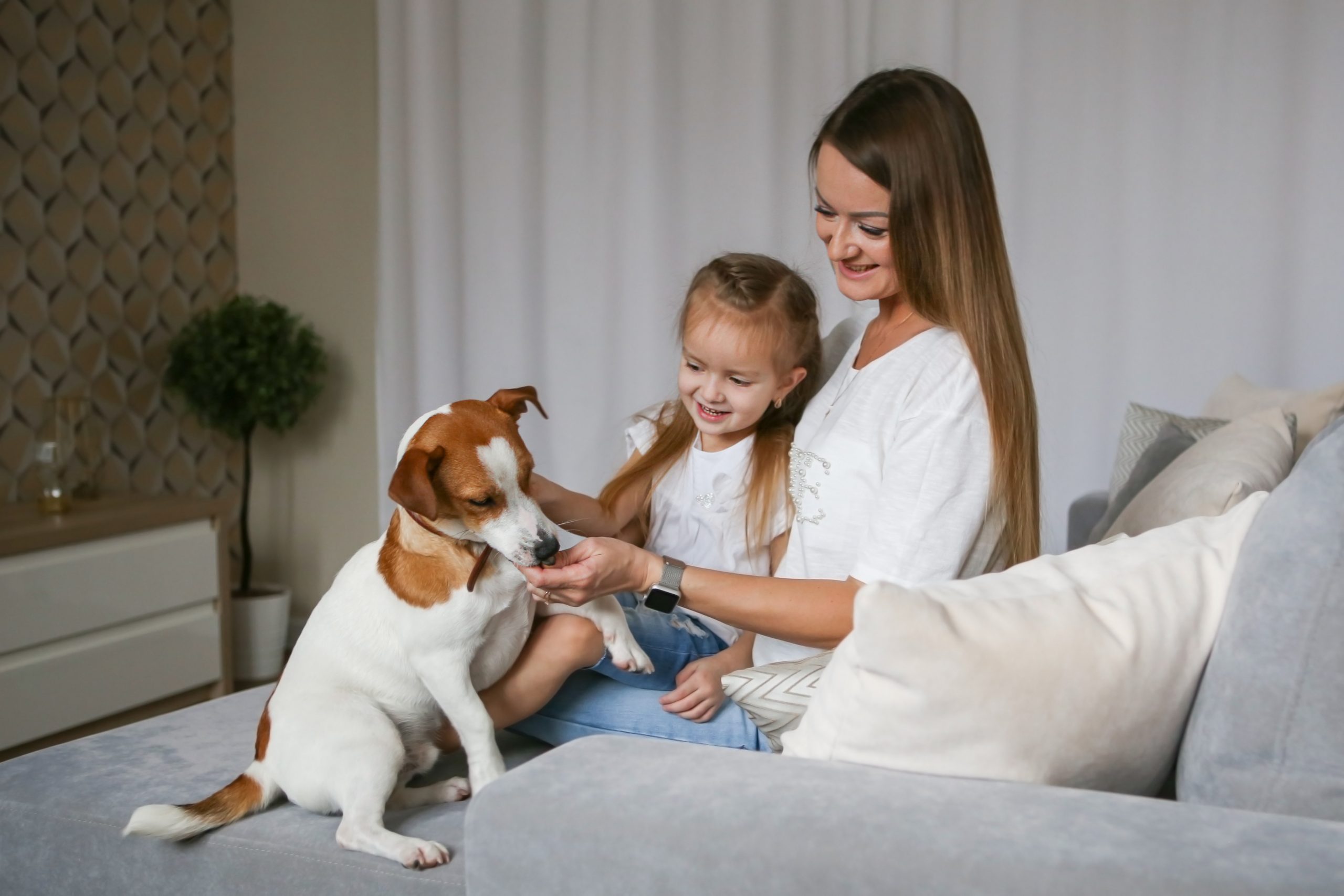 oung,Mom,With,Her,Daughter,Playing,With,Jack,Russell,Terrier