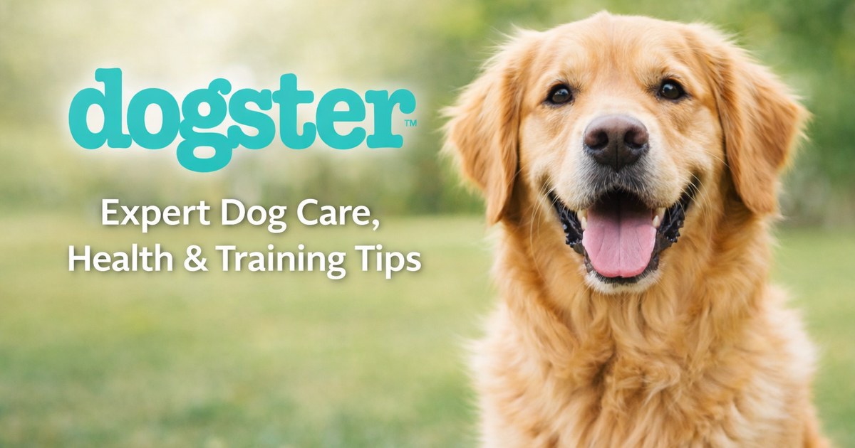 Dogster: Dog Care, Health Guides, & Shop by Veterinarians & Experts logo
