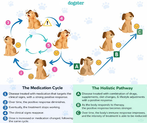 EXCLUSIVE EXPOSÉ New Treatment fo