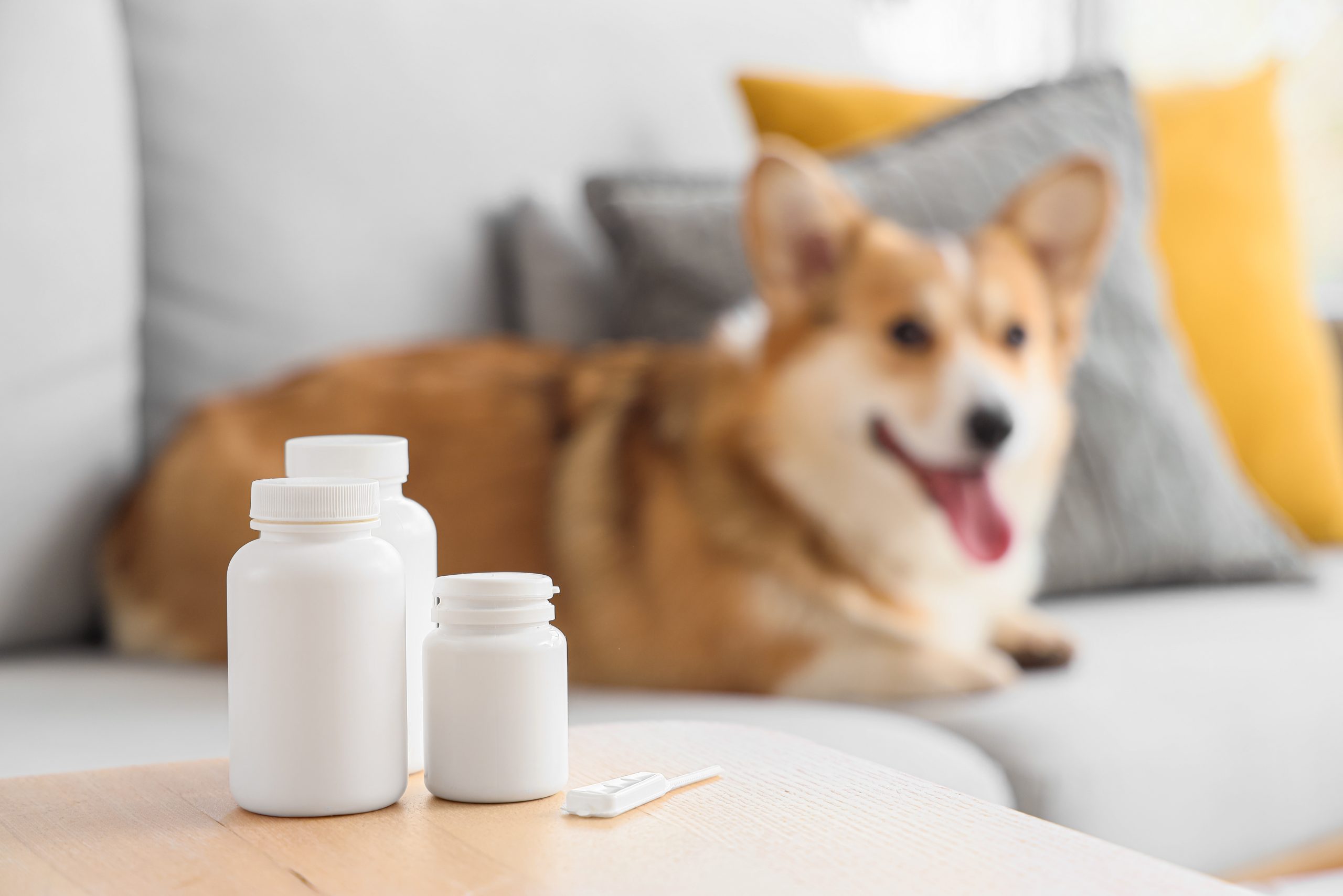 Anti-parasitic,Medicati