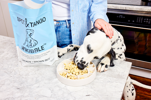Tired of Traditional Kibble_ Why Spot & Tango Is a Healthier Option 2