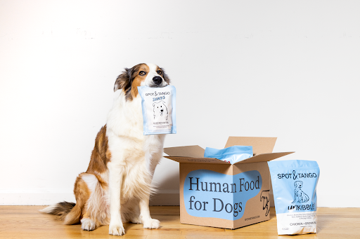 Tired of Traditional Kibble_ Why Spot & Tango Is a Healthier Option 3