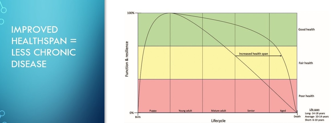 Dogster_HeatherOxford_highres - 1