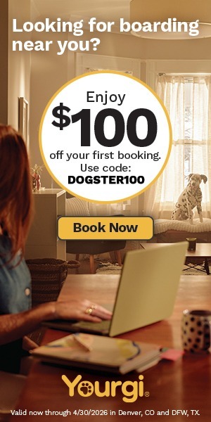 Denver-Dallas-Fort-Worth-image