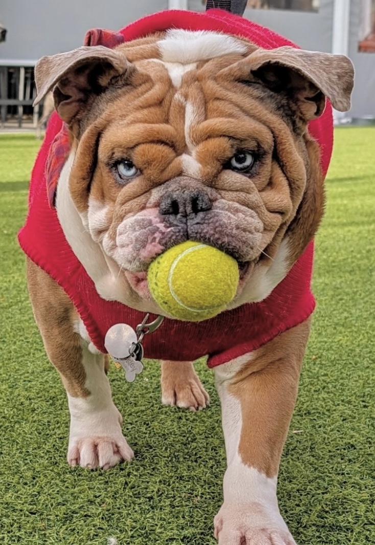 From Grief to Gratitude_ How One _Potato_ and a Road Trip Changed Everything 1