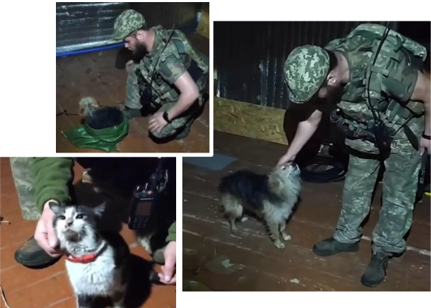 Kaip paprastas tiekimas virto gelbėjimo operacija 2