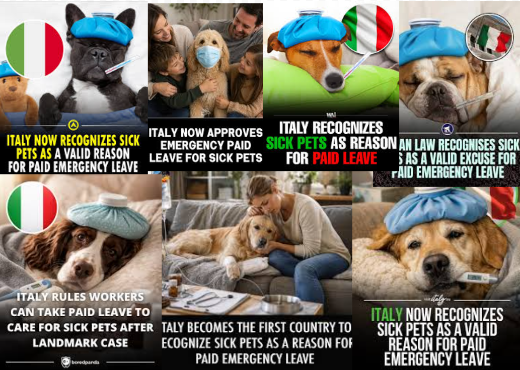 Pawternity Leave Is Paid Time Off for Pet Care a Reasonable Request or OTT