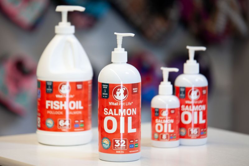 Salmon Oil for Dogs_ How It Supports Skin, Coat, and Overall Health - Cover