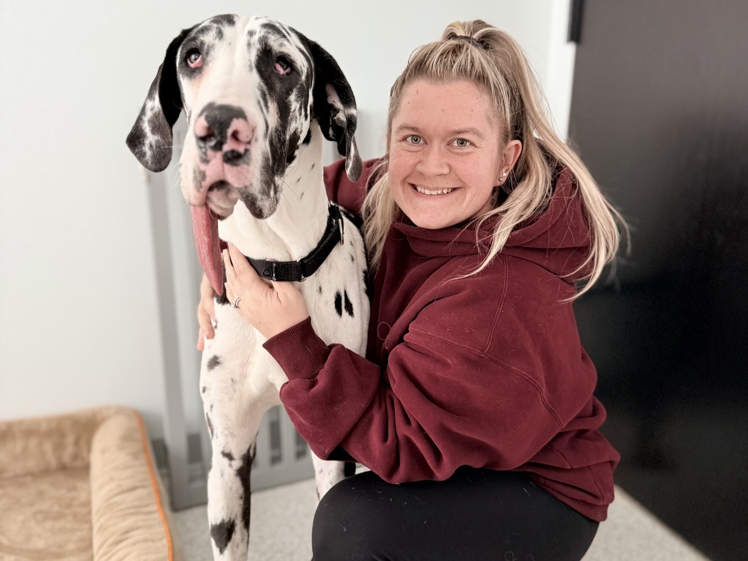 Saying Yes When It Matters Most Coco’s Heart Dog Rescue - JoHanna&FosterDogPoe