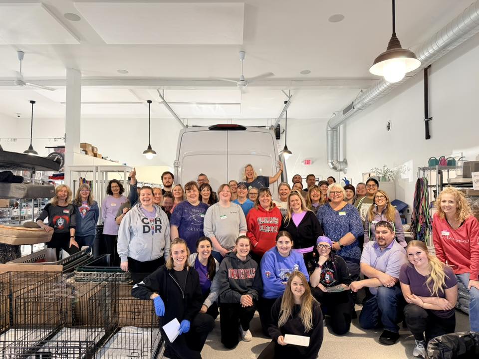 Saying Yes When It Matters Most Coco’s Heart Dog Rescue - Volunteersatintake