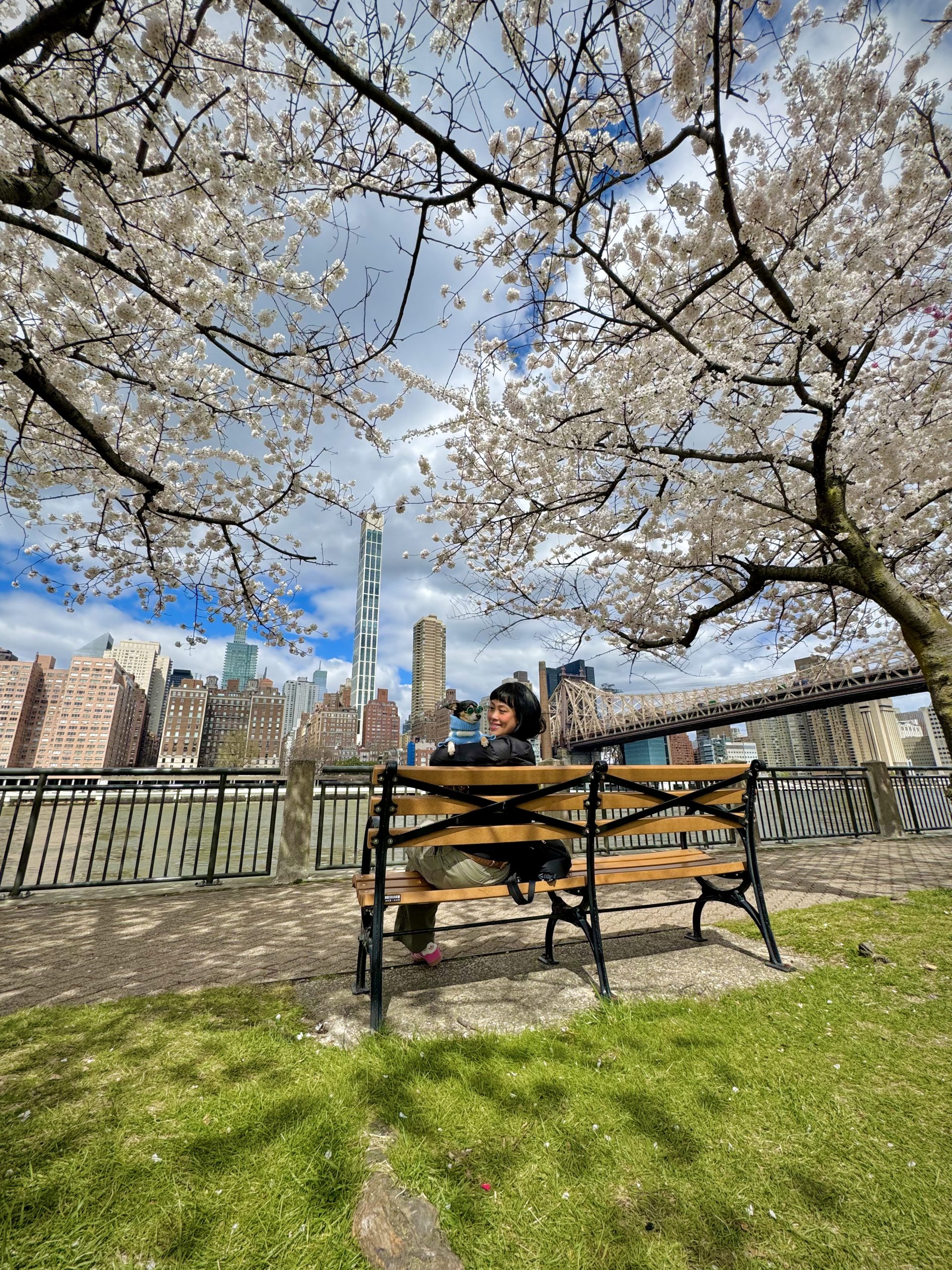 We Didn’t Just Add a Dog to Our Life—We Built a Life With Him 1