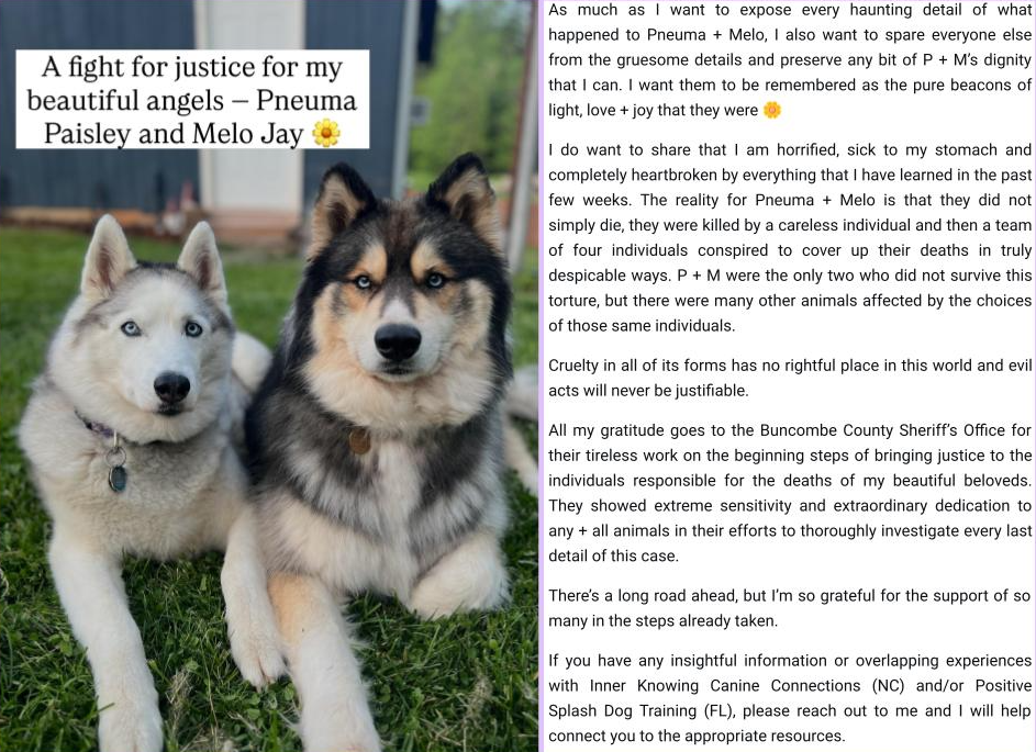 Justice For Pneuma and Melo 1