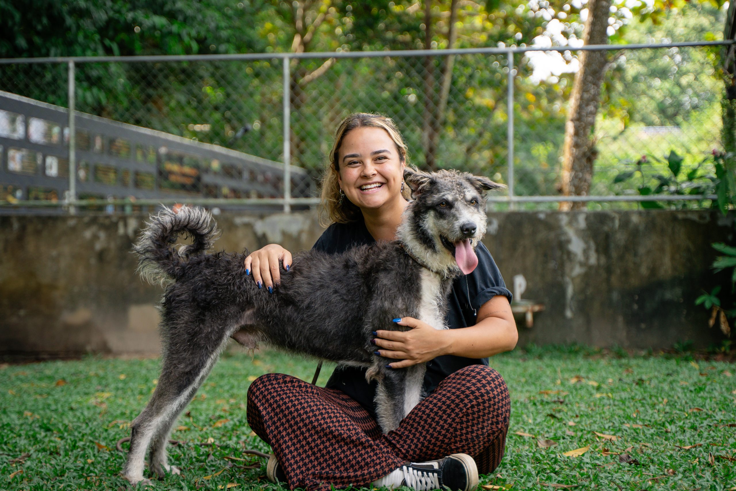 Moo after recovery with staff