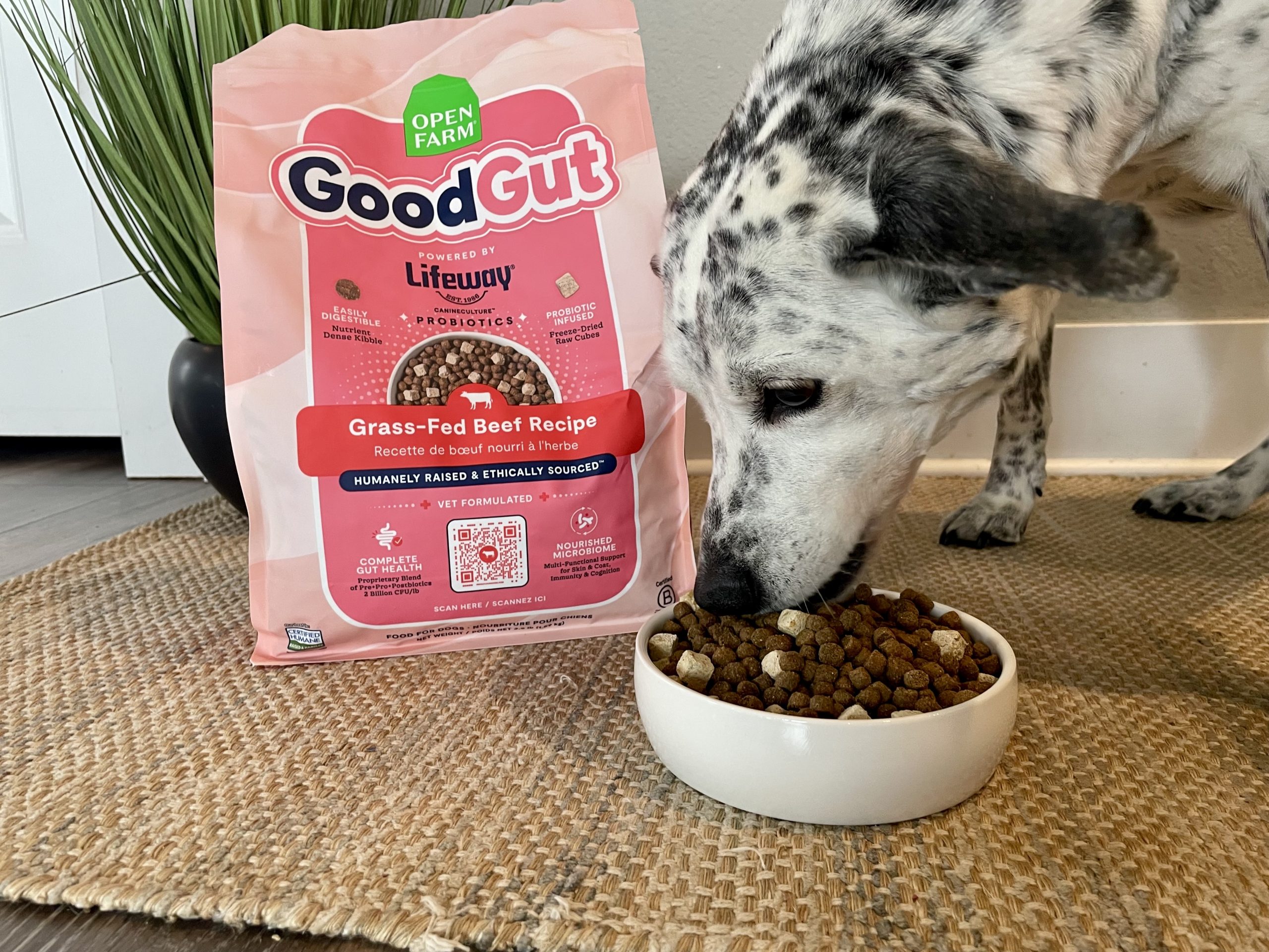 Open Farm GoodGut Dog Food Review 2026 2