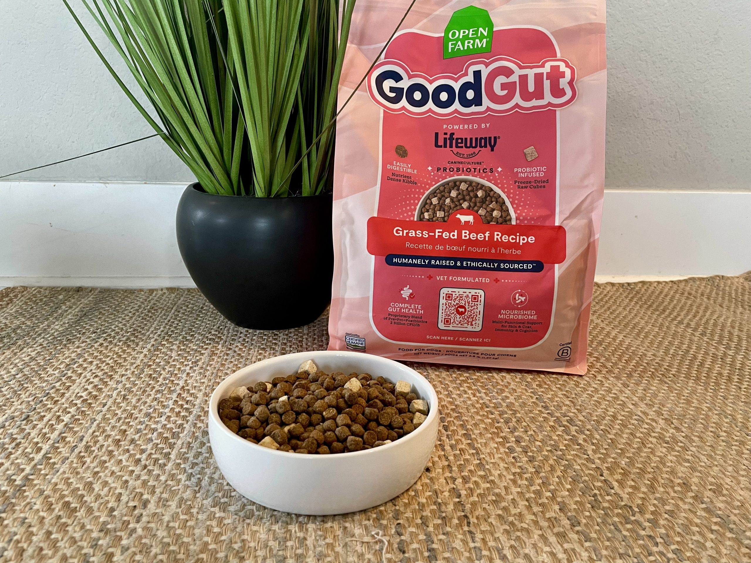 Open Farm GoodGut Dog Food Review 2026 3