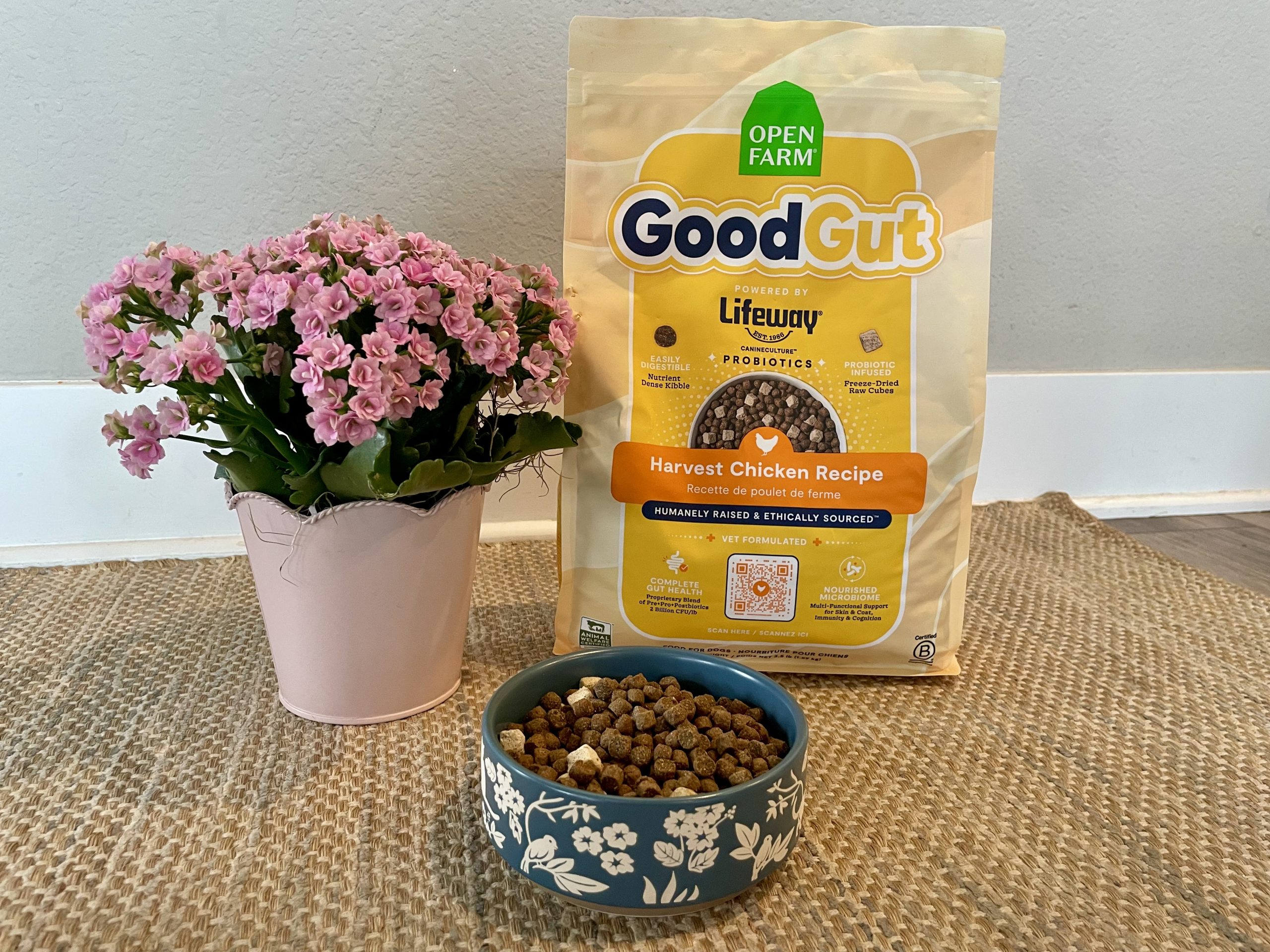 Open Farm GoodGut Dog Food Review 2026 4