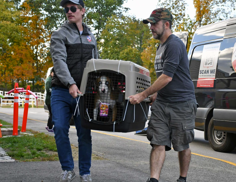 Pilots to the Rescue – How One Man’s Passion for Pets and Planes Has Saved Thousands of Lives