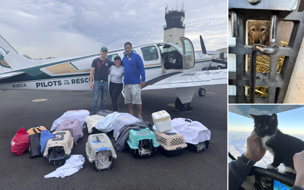 Pilots to the Rescue – How One Man’s Passion for Pets and Planes Has Saved Thousands of Lives 3