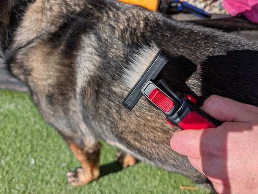 Refurbrush Dog