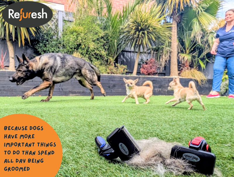 Refuresh Deshedding Tool – Professional Grooming at Home - Lead