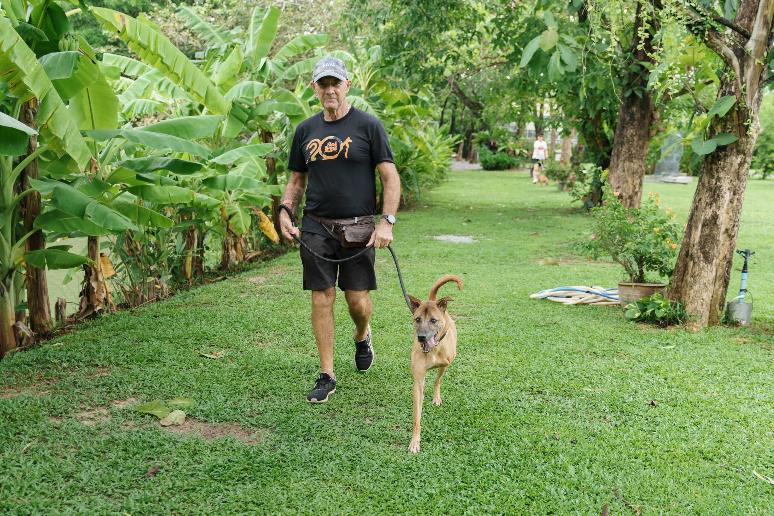 Volunteer walking dogs at the sanctuary