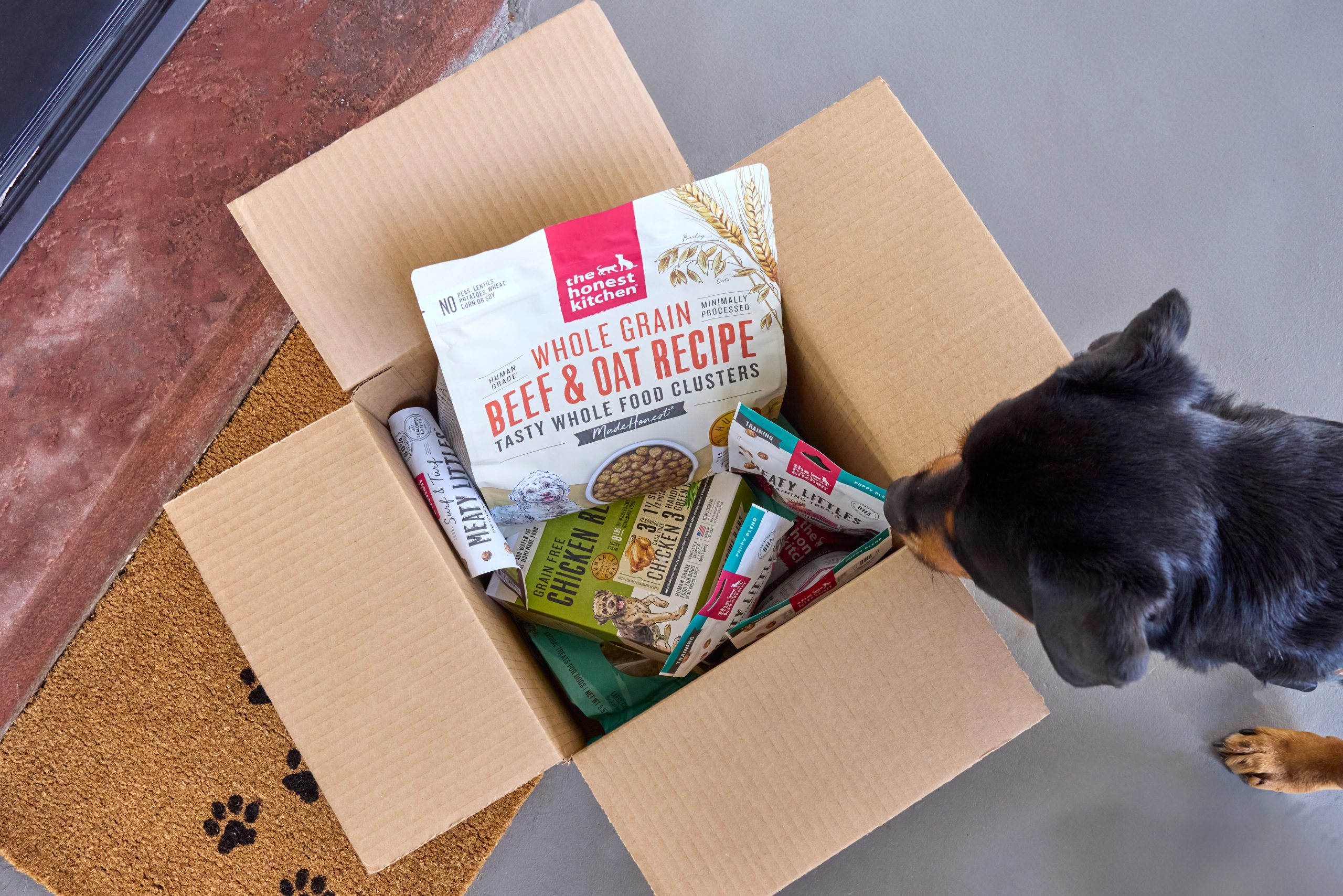 Better Than Kibble and Just as Easy to Feed THK_Shipping_Birdhill-066