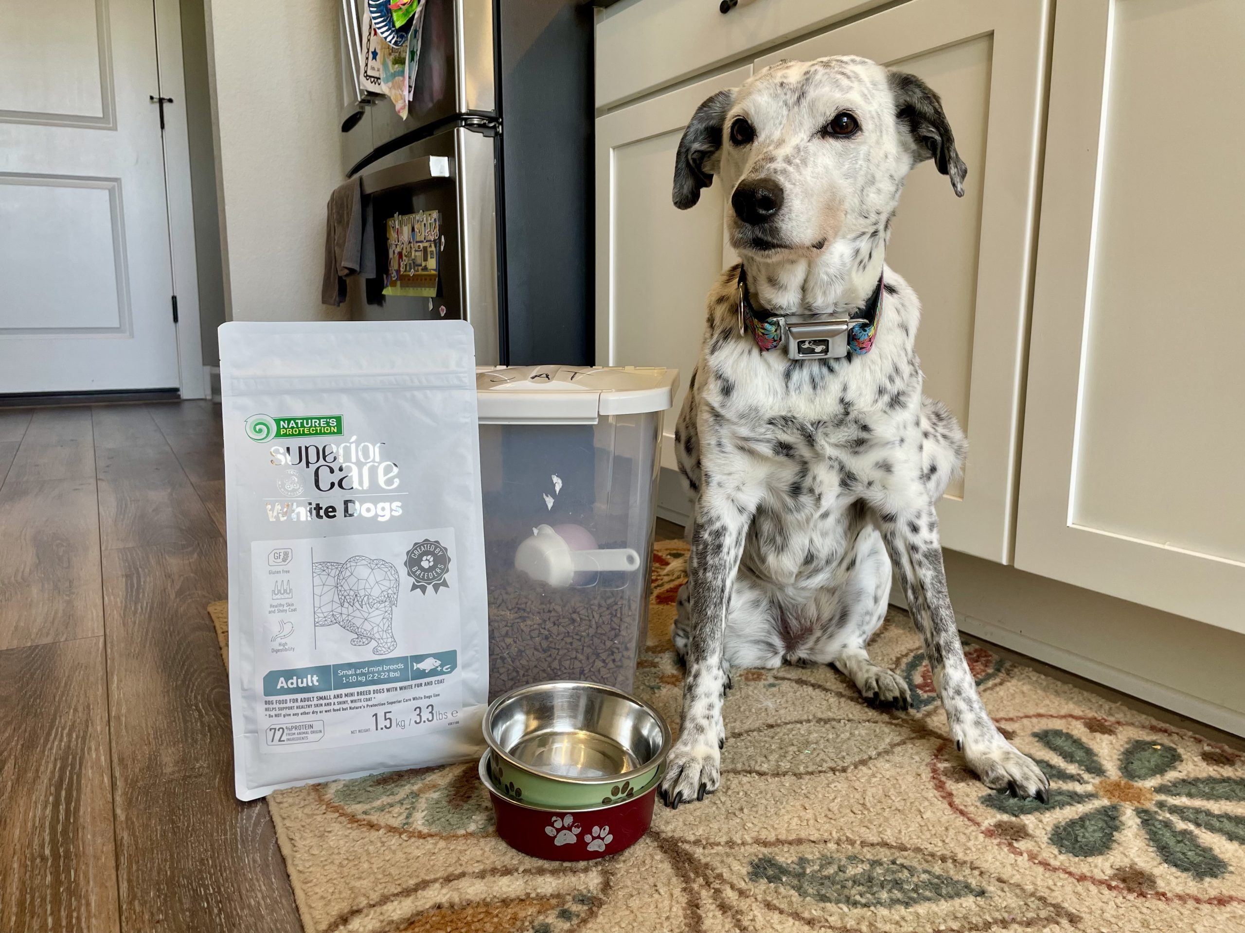 Superior Care White Dogs Grain-Free Small Breed Dog Food Review 2026_ Our Expert’s Opinion - lead