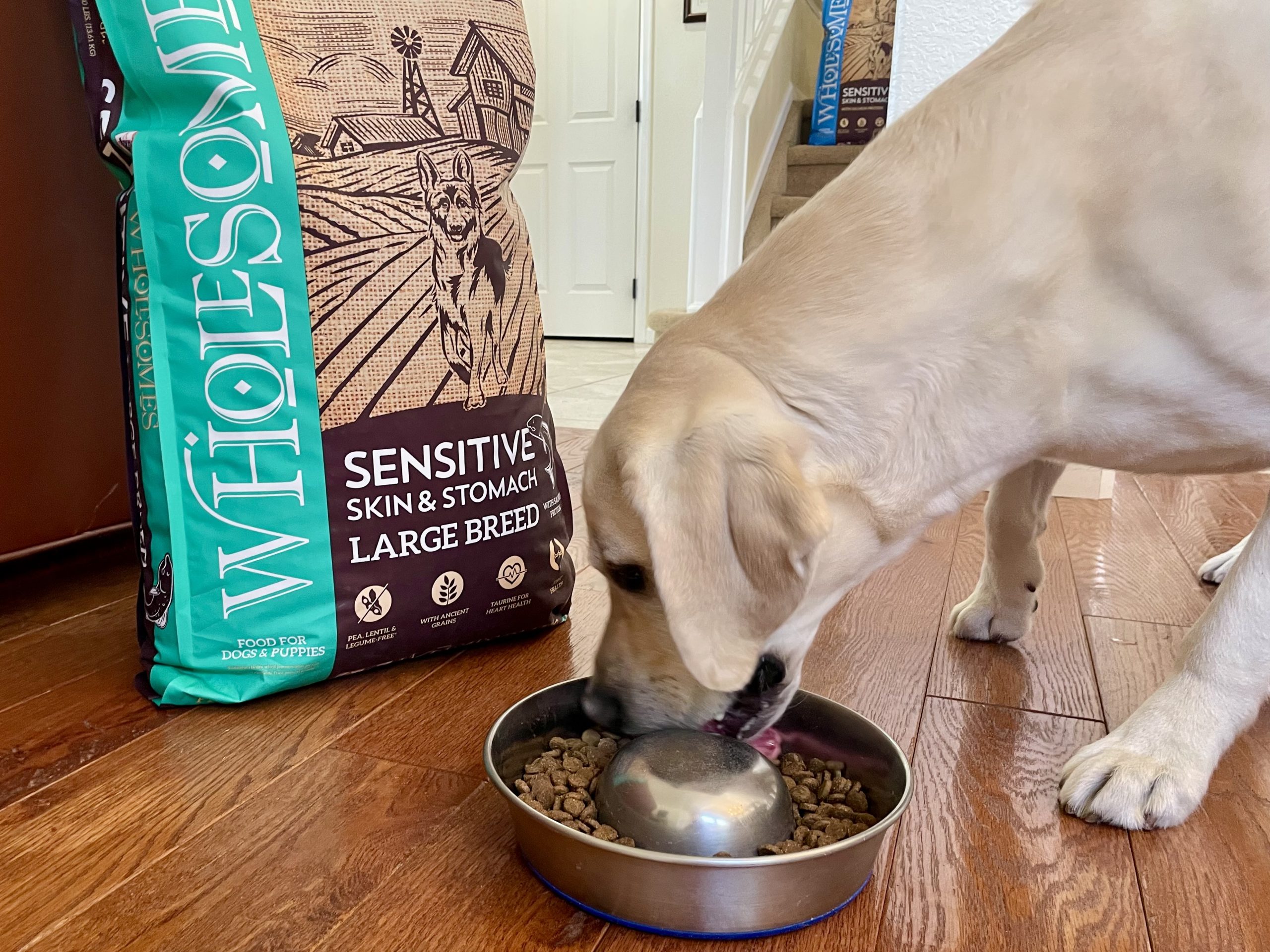 Wholesomes Dog Food Sensitive Skin & Stomach Review 2026_ Our Expert’s Opinion 21