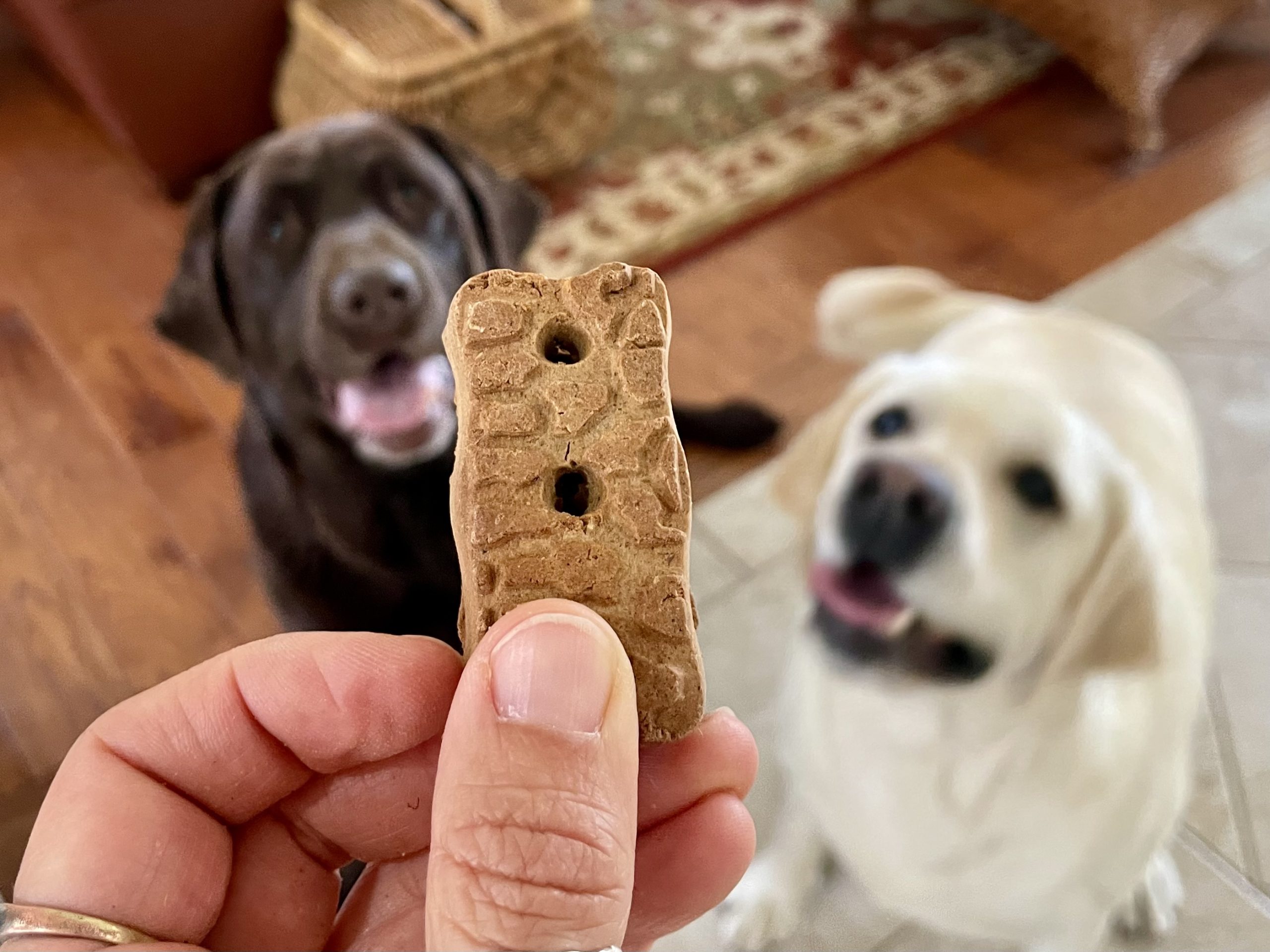 Wholesomes Dog Food Sensitive Skin & Stomach Review 2026_ Our Expert’s Opinion 27