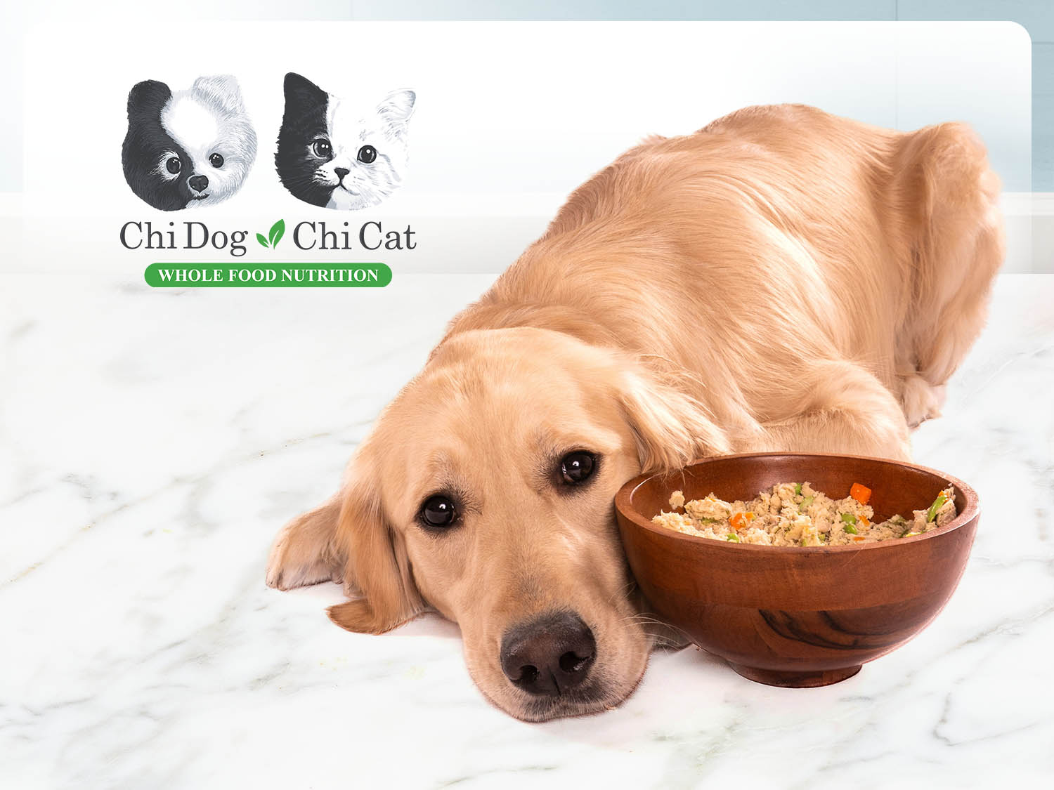 Why I Created Chi Dog_ Whole Food Nutrition That Supports Dogs From the Inside Out Image 5